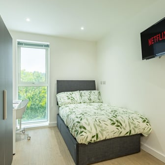 Deluxe Accessible Studio - Image 1