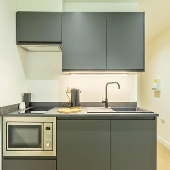 Deluxe Accessible Studio - Image 4