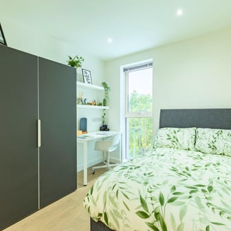 Deluxe Plus Studio - Image 1