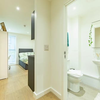 Deluxe Plus Studio - Image 5