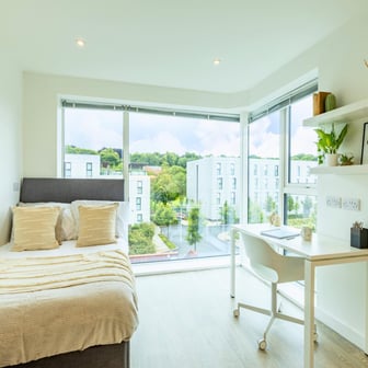 Premium Plus Studio - Image 1