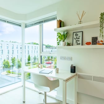 Premium Plus Studio - Image 3