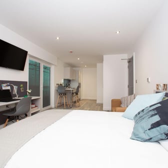 Silver Plus Balcony Studio - Image 10