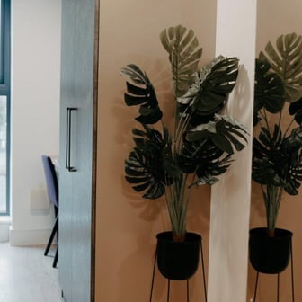 Ensuite Edition II - Image 5