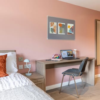 Classic Plus Studio - Image 3