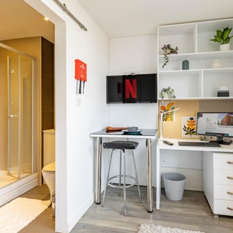 Deluxe Studio Plus - Image 5