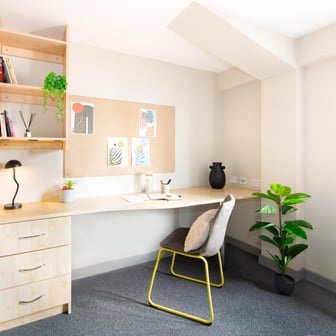 Premium Plus Studio - Image 2