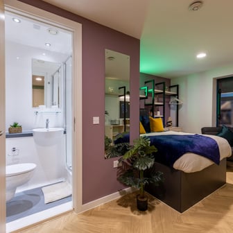 Platinum Plus Studio - Image 2