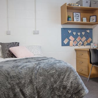 Non Ensuite - Gold - Image 4