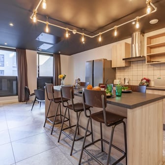 true Accessible Apartment - Image 4