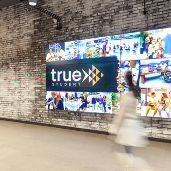 true Accessible Studio - Image 6