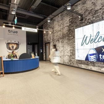 true Sky Studio - Image 6