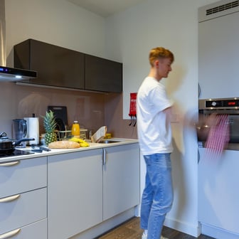 true Studio Plus - Image 2