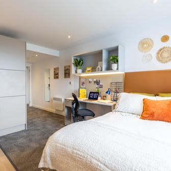 true Accessible Studio Plus - Image 1