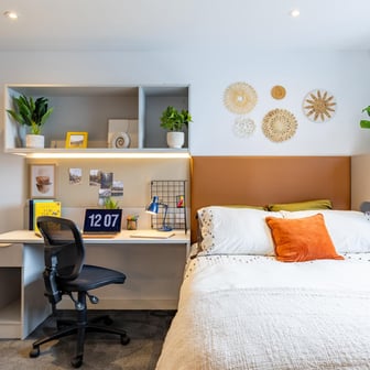 true Accessible Studio Plus - Image 3