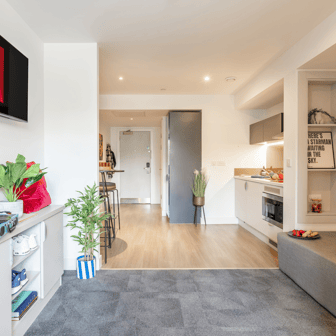 true Premium Studio with City Views - Image 3