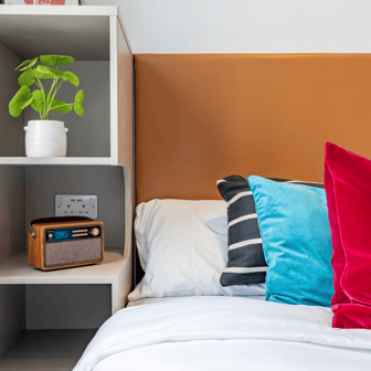 true Studio Plus - Image 4