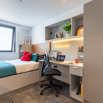 true Studio Plus - Image 6