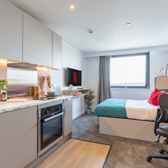 true Studio Plus - Image 7