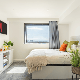 true Studio - Image 2