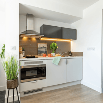 true Studio - Image 3