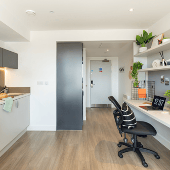 true Studio - Image 6