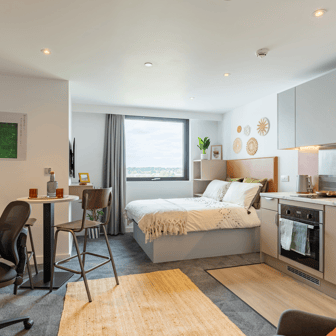 true Superior Studio Plus - Image 2