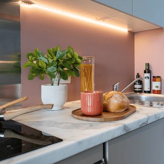 true Superior Studio Plus - Image 4