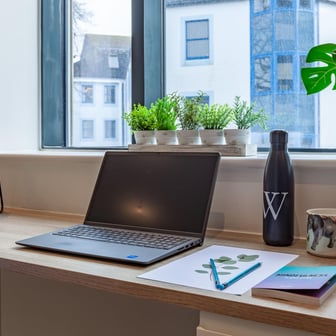 Classic Studio Plus - Image 3