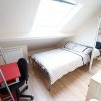 Bronze Non Ensuite - Image 3