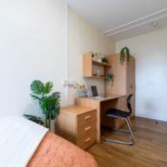 Bronze Non Ensuite - Image 2