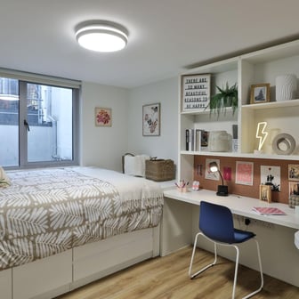 Standard Plus Studio