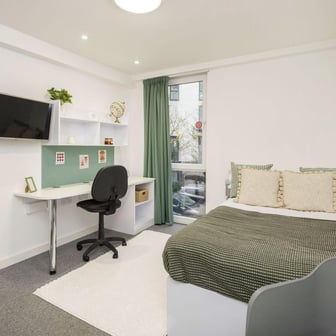 Standard Studio - Image 1