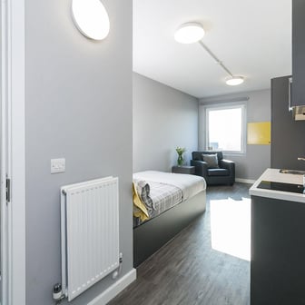 Gold Studio - Image 2