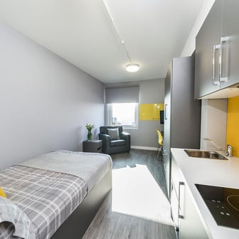 Gold Studio - Image 3