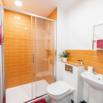 Bronze Studio Deluxe - Image 4