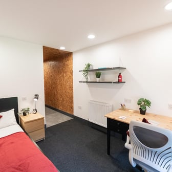 Bronze Studio Deluxe - Image 1