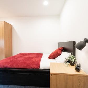 Bronze Studio Deluxe - Image 2