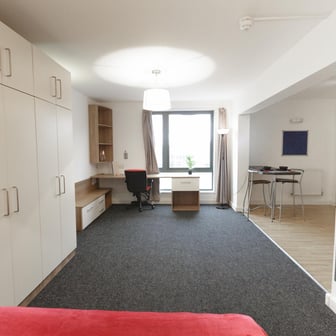 Gold Studio - Image 2