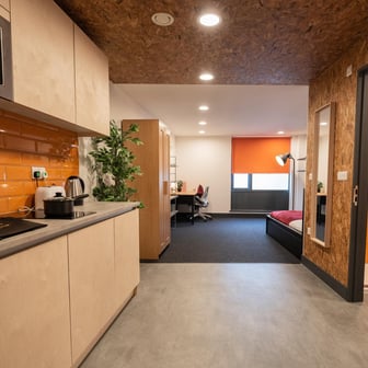 Gold Studio Deluxe - Image 4