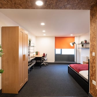 Gold Studio Deluxe - Image 3