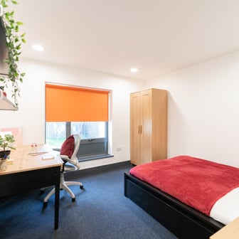 Gold Studio Deluxe - Image 2