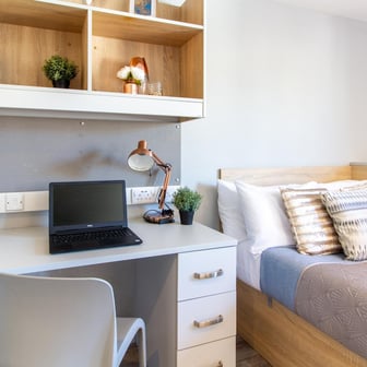 Deluxe Studio - Image 2