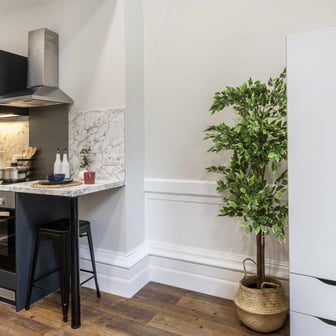 Premium Plus Studio - Image 3