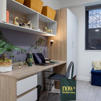 Gold Studio - Image 3