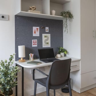 Premium Studio Plus - Image 3