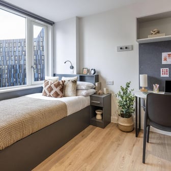 Deluxe Studio - Image 2