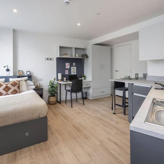 Deluxe Studio - Image 7