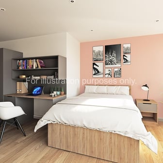 Large Premium Studio - Image 2