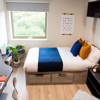 Standard Studio - Image 9